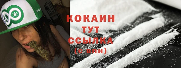 амф Аркадак
