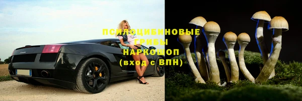гашик Алексеевка