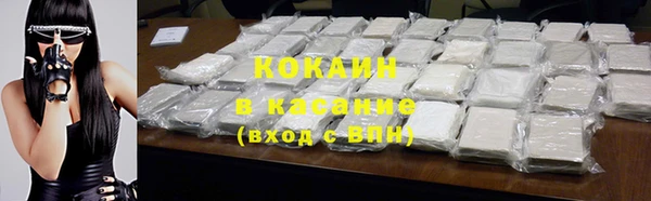индика Армянск