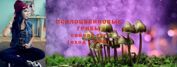 гашик Алексеевка