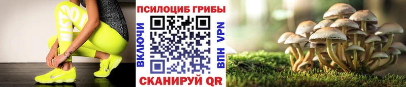 Галлюциногенные грибы GOLDEN TEACHER Лахденпохья